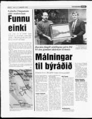 Síða 8