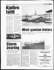 Síða 6