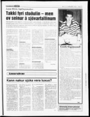 Síða 13