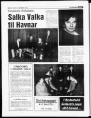 Síða 14