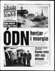 Síða 1