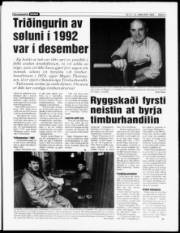 Síða 3