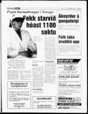 Síða 5