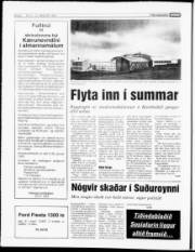 Síða 6