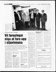 Síða 13
