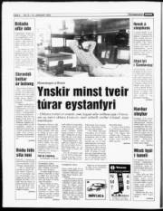 Síða 6