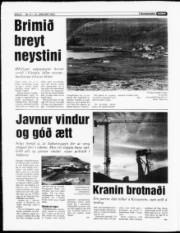 Síða 8