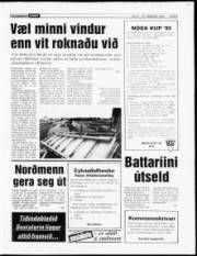 Síða 9