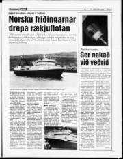 Síða 3