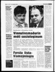 Síða 6
