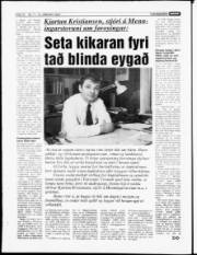 Síða 12