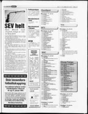 Síða 15