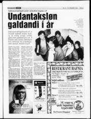 Síða 3