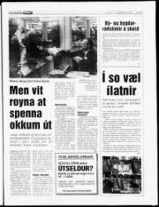 Síða 5