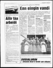 Síða 6