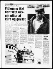 Síða 9