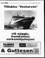 Síða 11