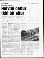Síða 17