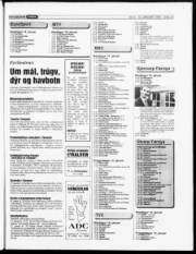Síða 19