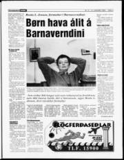 Síða 3