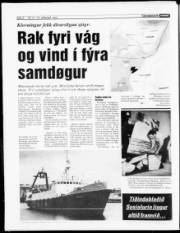 Síða 4