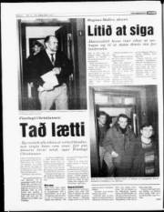 Síða 6