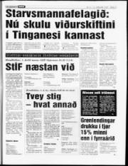 Síða 17