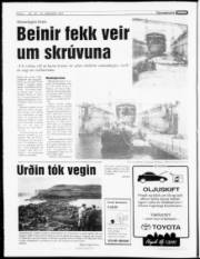 Síða 4