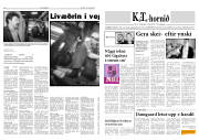 Síða 8