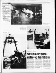 Síða 19