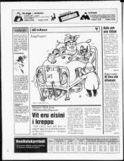 Síða 28