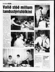 Síða 11