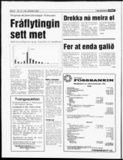 Síða 6