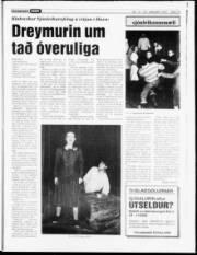 Síða 13