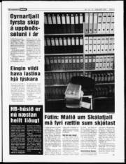 Síða 3