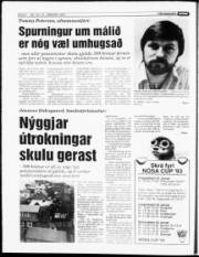 Síða 6