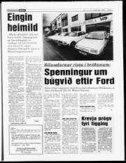 Síða 7