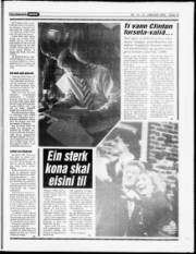 Síða 13