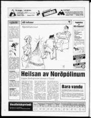 Síða 20