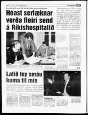 Síða 6