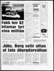 Síða 13