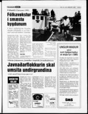Síða 3