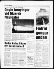 Síða 5