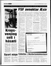 Síða 11
