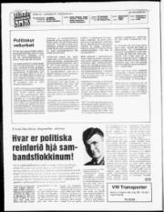 Síða 2