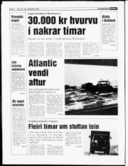 Síða 6