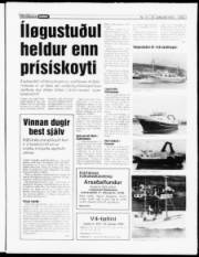 Síða 7