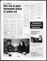 Síða 7