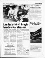 Síða 8
