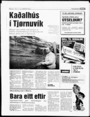 Síða 14